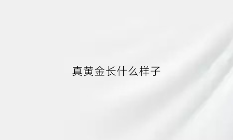 真黄金长什么样子