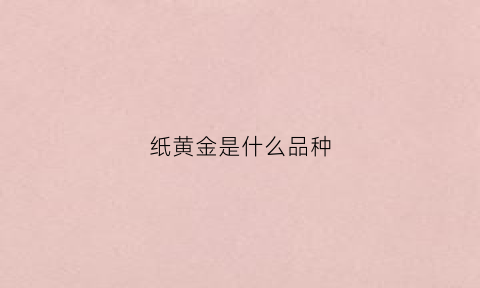 纸黄金是什么品种