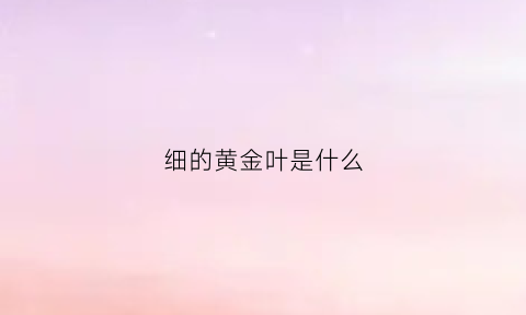 细的黄金叶是什么(细黄金叶)