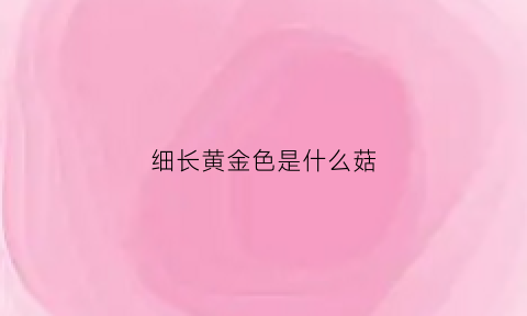 细长黄金色是什么菇(金色细长条蘑菇叫什么)