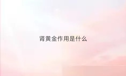 肾黄金作用是什么(肾黄金管用吗)