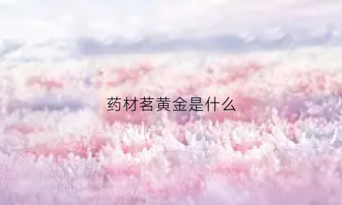 药材茗黄金是什么(大茗堂茶黄金)