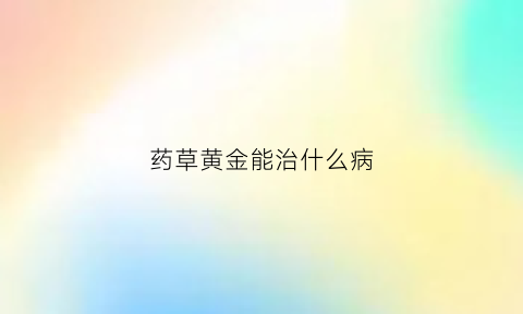 药草黄金能治什么病(黄金药草图)