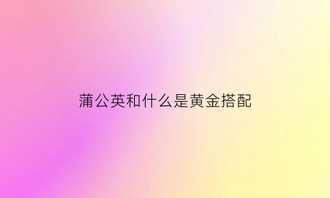 蒲公英和什么是黄金搭配