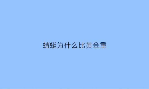 蜻蜓为什么比黄金重(蜻蜓为什么比黄金重很多)