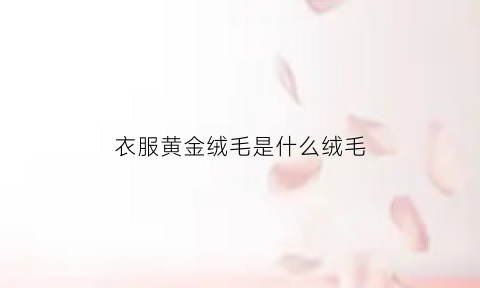 衣服黄金绒毛是什么绒毛