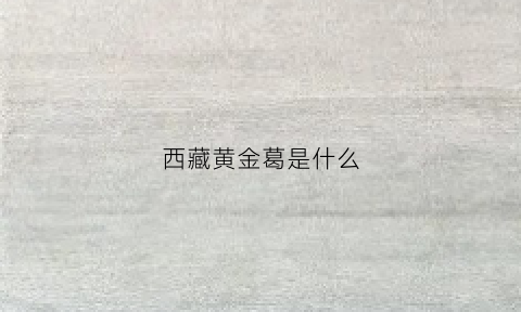 西藏黄金葛是什么