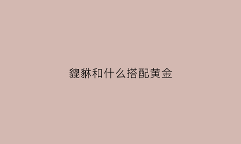 貔貅和什么搭配黄金