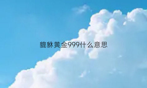 貔貅黄金999什么意思