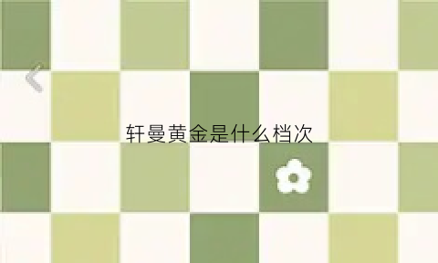 轩曼黄金是什么档次(轩曼妮女鞋价格)