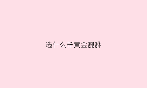 选什么样黄金貔貅