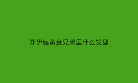 郑伊健黄金兄弟里什么发型(郑伊健兄弟情)