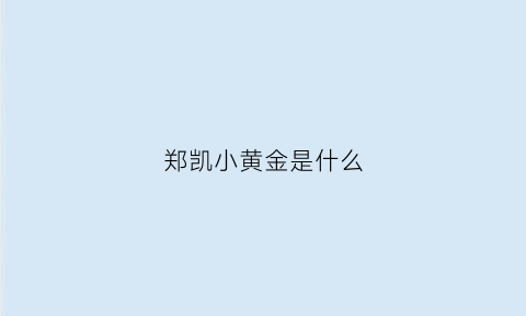 郑凯小黄金是什么