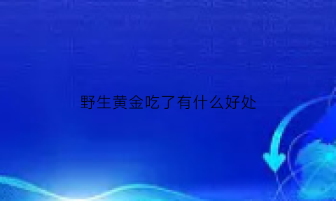 野生黄金吃了有什么好处