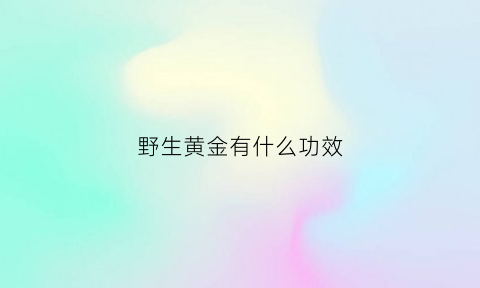 野生黄金有什么功效