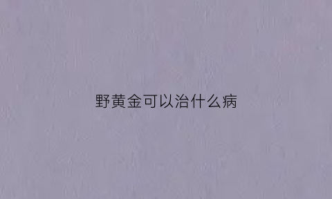 野黄金可以治什么病(野黄金多少钱一斤)