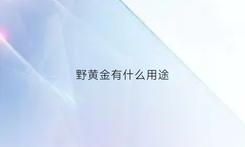 野黄金有什么用途