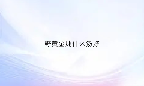 野黄金炖什么汤好