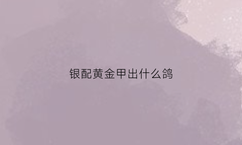 银配黄金甲出什么鸽