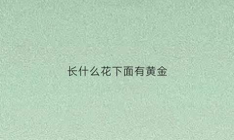 长什么花下面有黄金(什么花底下有金子)