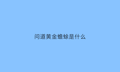 问道黄金蟾蜍是什么