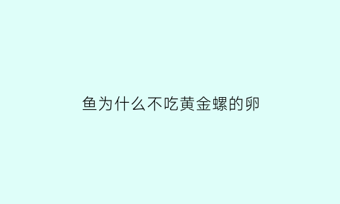 鱼为什么不吃黄金螺的卵