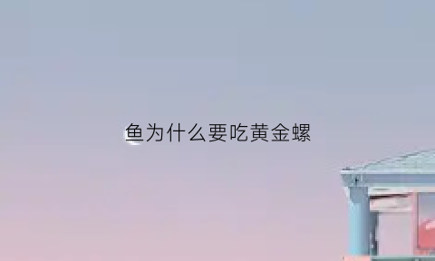 鱼为什么要吃黄金螺(黄金鱼为什么会吃人)