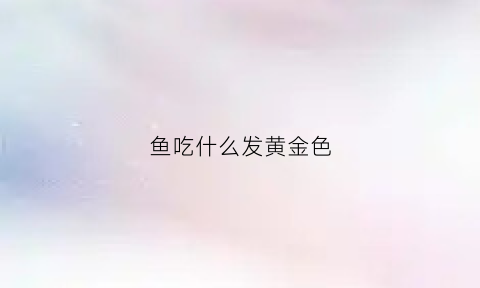 鱼吃什么发黄金色