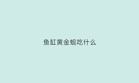 鱼缸黄金蚬吃什么