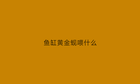 鱼缸黄金蚬喂什么(鱼缸黄金蚬吃什么)