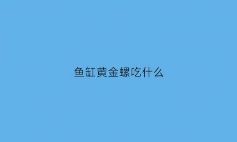 鱼缸黄金螺吃什么(黄金螺吃鱼缸壁的藻吗)