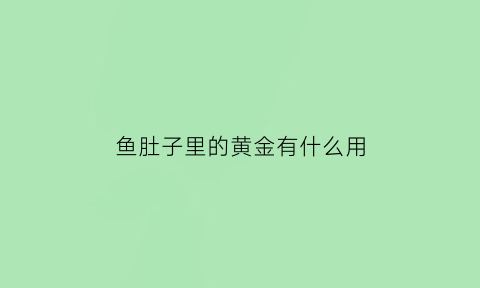 鱼肚子里的黄金有什么用