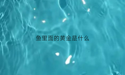 鱼里面的黄金是什么(鱼里面的黄色东西是什么)