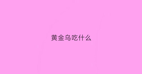 黄金乌吃什么