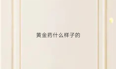 黄金药什么样子的(一种药叫黄金)