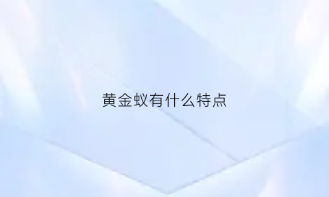 黄金蚁有什么特点(黄金蚂蚁)