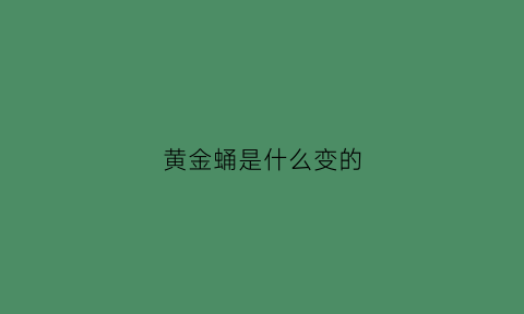 黄金蛹是什么变的(黄金蛹是什么虫子变的)