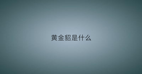 黄金貂是什么