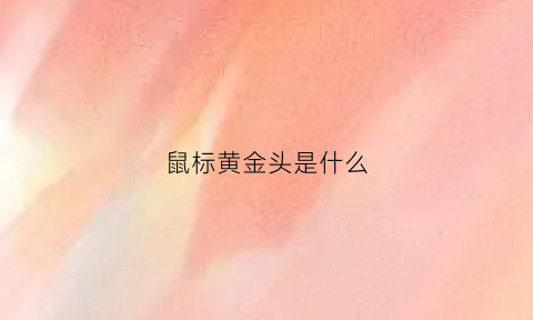 鼠标黄金头是什么