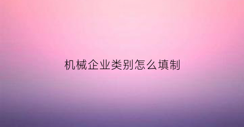 机械企业类别怎么填制