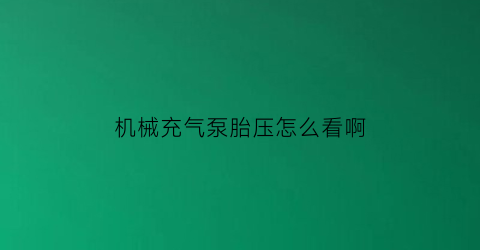 “机械充气泵胎压怎么看啊(汽车充气泵机械气压表)