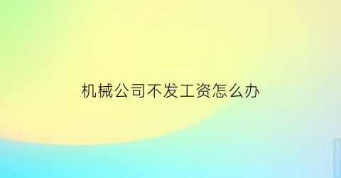 机械公司不发工资怎么办(机械公司怎么样)