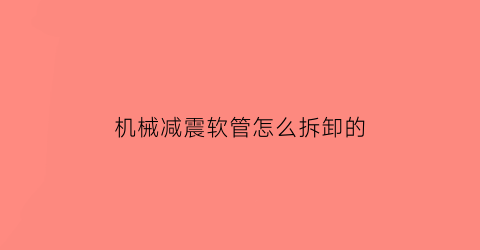 “机械减震软管怎么拆卸的(机械减震系统)