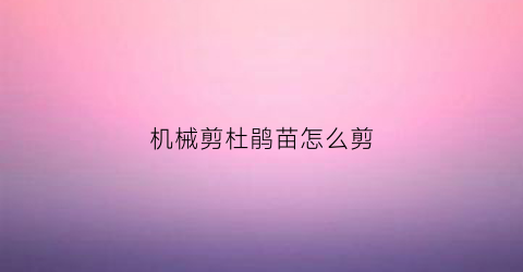 机械剪杜鹃苗怎么剪