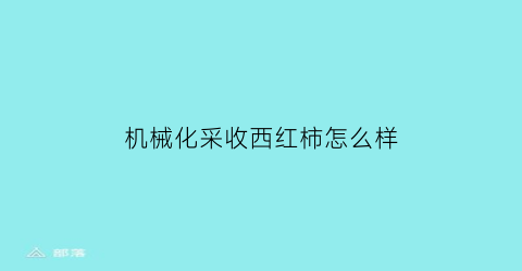 机械化采收西红柿怎么样