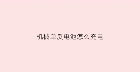 “机械单反电池怎么充电(单反相机电池充电)