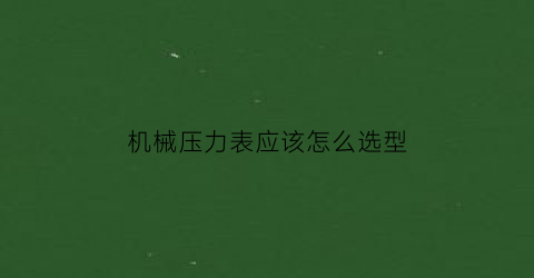 “机械压力表应该怎么选型(机械压力表应该怎么选型的)