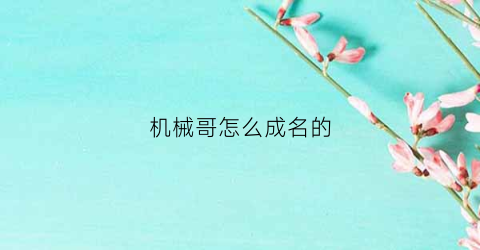 “机械哥怎么成名的(机械哥成名曲)