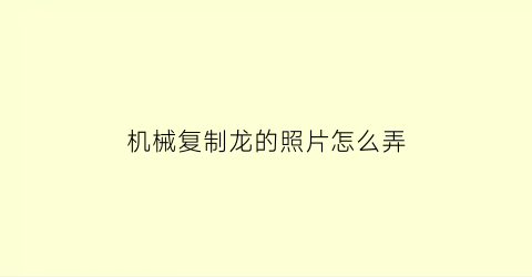 机械复制龙的照片怎么弄(机械复制术电子龙)