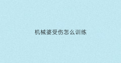 “机械婆受伤怎么训练(机械婆年纪)